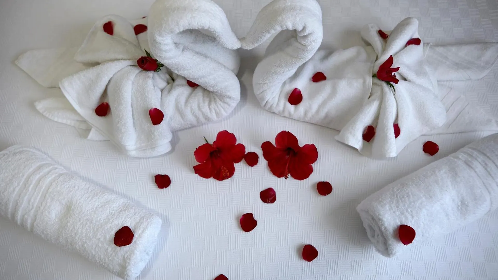 Palmiyem Apart Otel Seferihisar